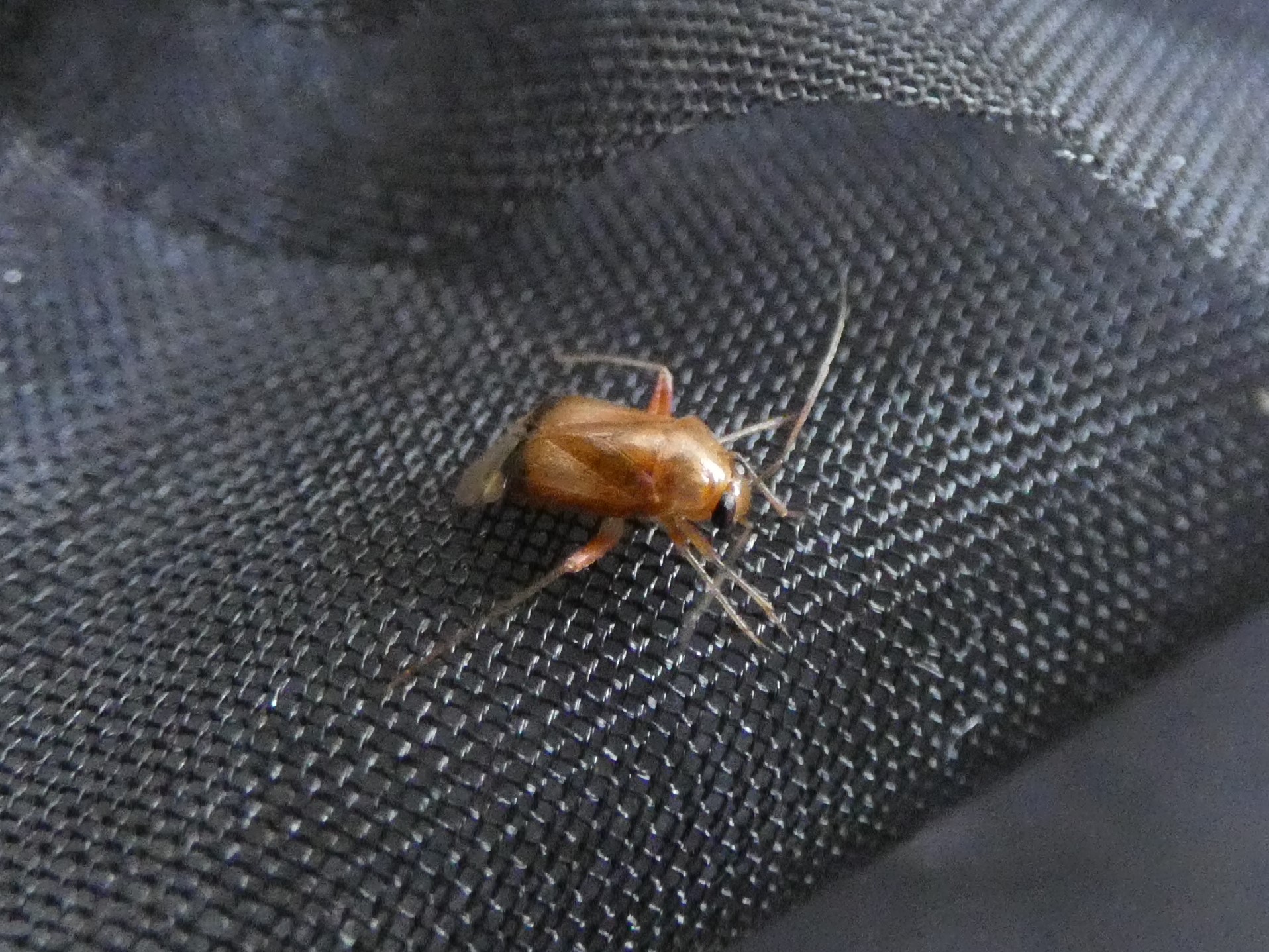 photo_4